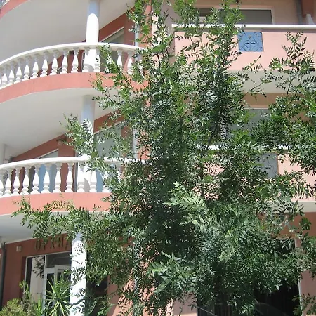 Art Orchidea Pomorie