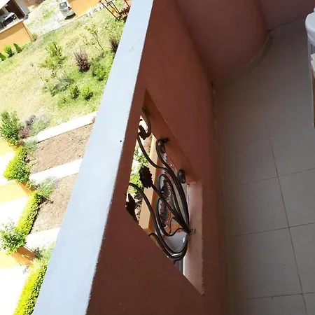 Art Orchidea 招待所 3*