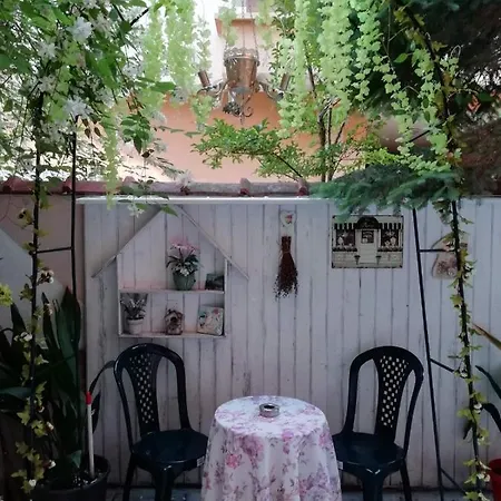 Art Orchidea 招待所