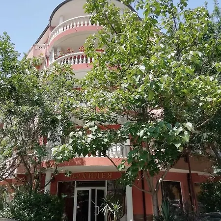 Art Orchidea 帕莫瑞