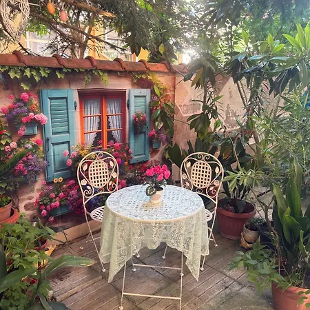 Art Orchidea Pomorie