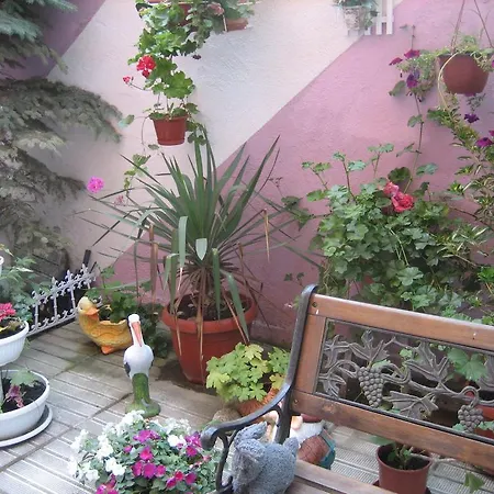 招待所 Art Orchidea 帕莫瑞