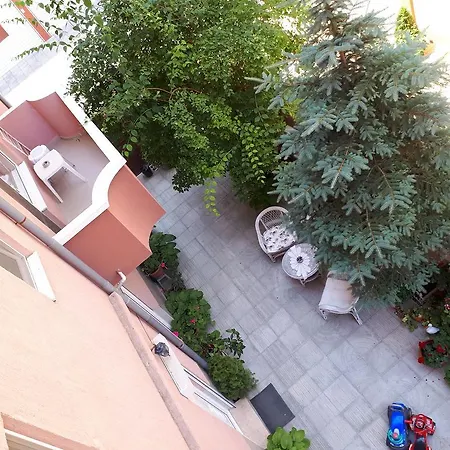 Art Orchidea 招待所