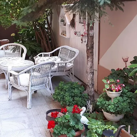 Pensjonat Art Orchidea 3*