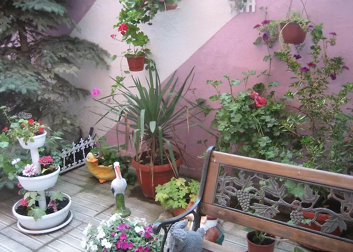 Pensjonat Art Orchidea Gmina Pomorie